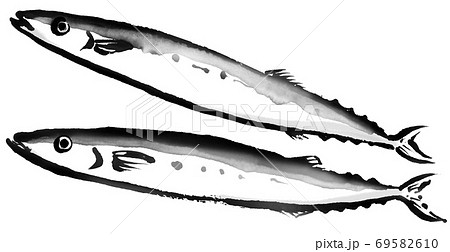 秋刀魚のイラスト素材