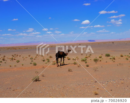 サハラ砂漠 地図の写真素材