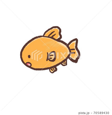 R メルヘンな水族館 金魚aのイラスト素材