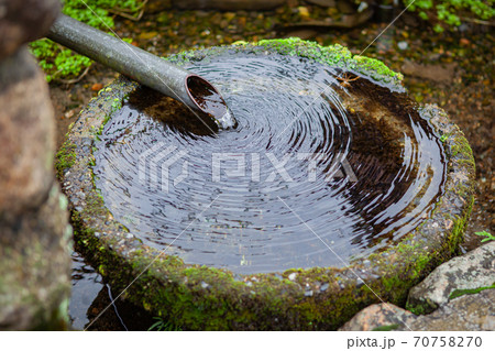 針江 琵琶湖の写真素材