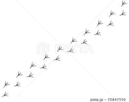 ライン 線 罫線 スタンプのイラスト素材