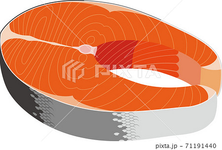 鮭切り身のイラスト素材