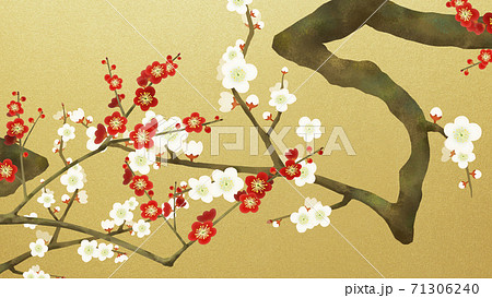 金屏風 春 花 梅の写真素材 - PIXTA
