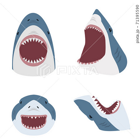 サメ シャーク 鮫 アイコンのイラスト素材