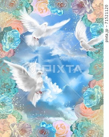 鳩 空 花 青空のイラスト素材