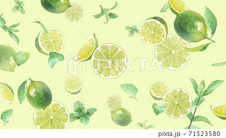 ライムのイラスト素材