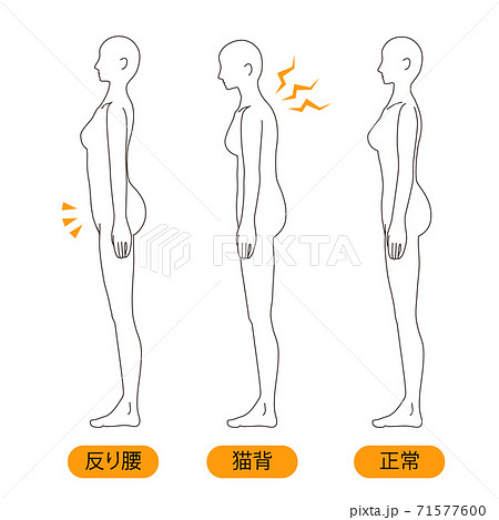 前傾姿勢のイラスト素材