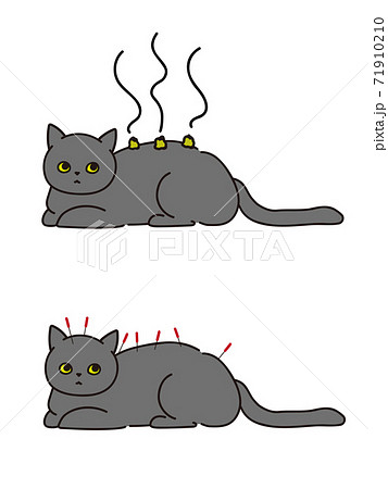 コラッ のイラスト素材