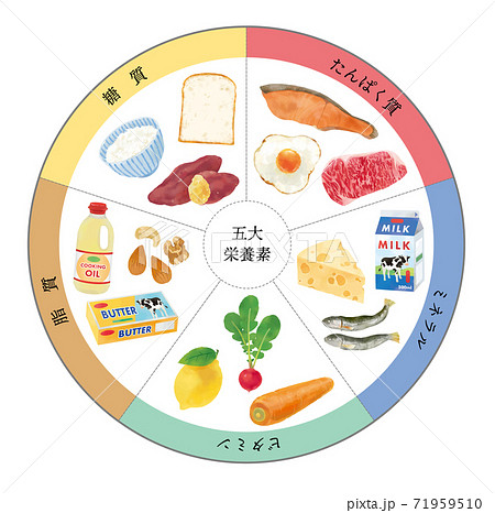 脂質のイラスト素材