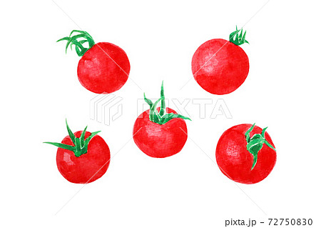 プチトマトのイラスト素材