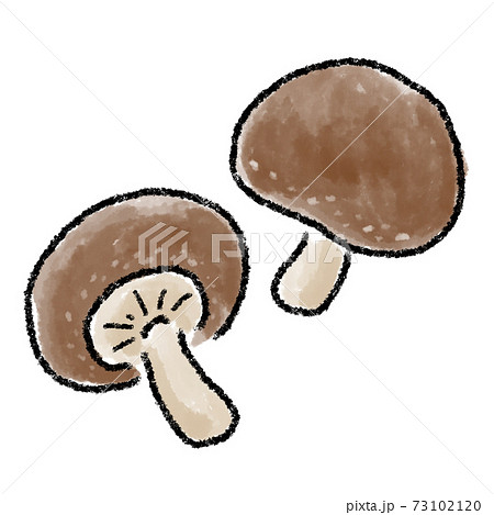 シイタケ かわいいのイラスト素材