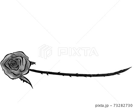 薔薇 墨絵 水墨 花の写真素材