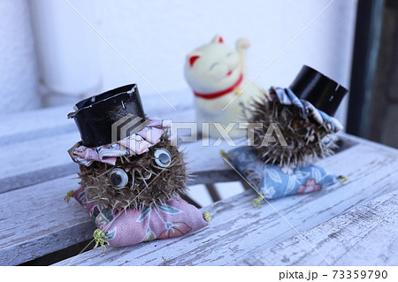 トゲが刺さるの写真素材