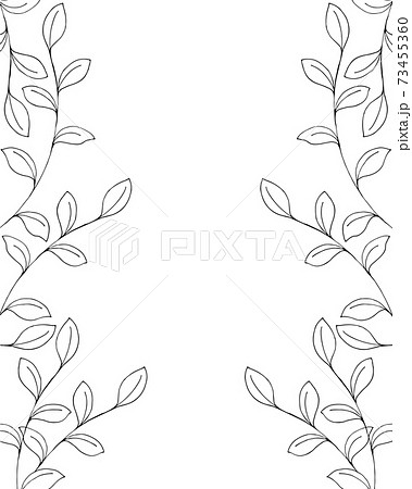 線 ペン フレーム モノクロ お洒落の写真素材