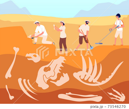 古生物 化石 イラスト 地質のイラスト素材 古生物 化石 イラスト 地質のイラスト素材