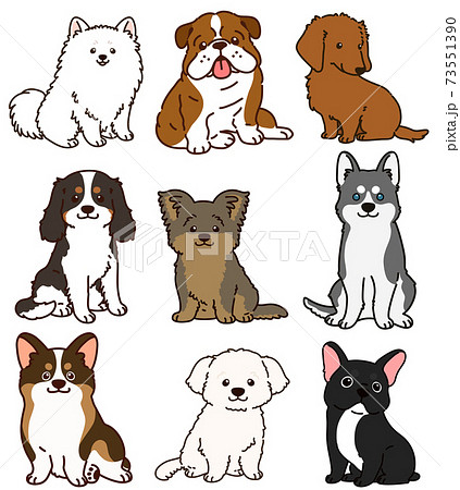 キャバリアのイラスト素材