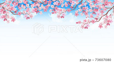 桜の木 イラスト きれいの写真素材