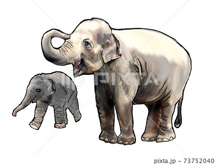象の親子のイラスト素材