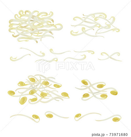 もやしのイラスト素材集 ピクスタ