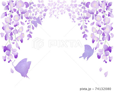 紫藤花架插圖素材