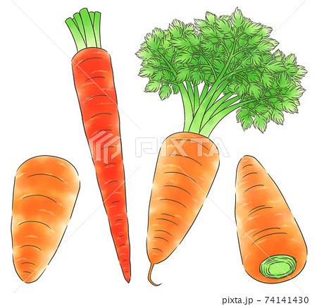 京野菜のイラスト素材