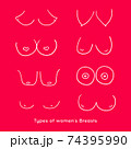 Types Women's Breasts Women's Breast Icon Breast Icon Vector Illustration  Stock Vector by ©Mila1717 180793578