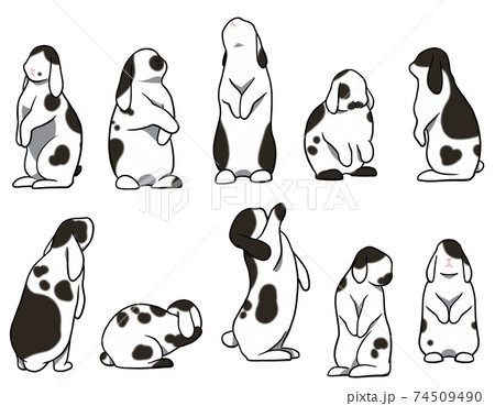 ロップイヤーのイラスト素材 ロップイヤーのイラスト素材