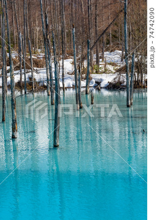 北海道 壁紙 美瑛 青い池の写真素材 北海道 壁紙 美瑛 青い池の写真素材