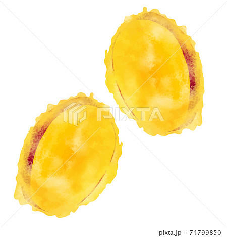 さつまいも天ぷらのイラスト素材