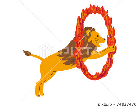 動物 ライオン 火 炎 イラストのイラスト素材