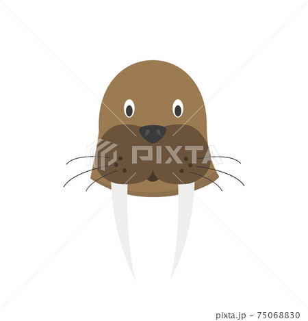 セイウチのイラスト素材