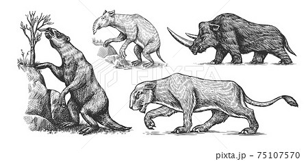 巨大生物のイラスト素材