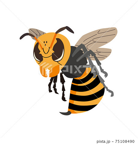 スズメバチ 蜂 ハチ イラストのイラスト素材