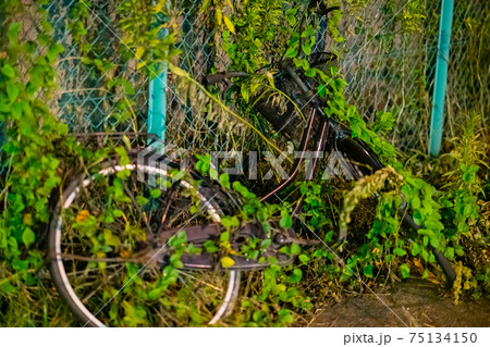 ごみ持ち去りの写真素材