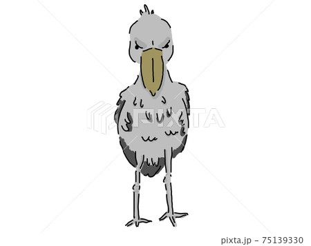 ハシビロコウのイラスト素材