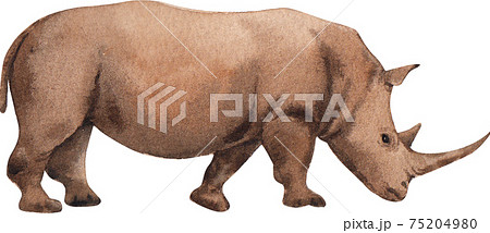 動物 サイ さい 犀のイラスト素材