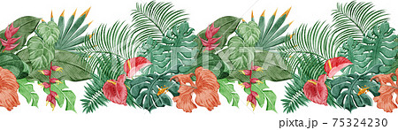 熱帯植物のイラスト素材