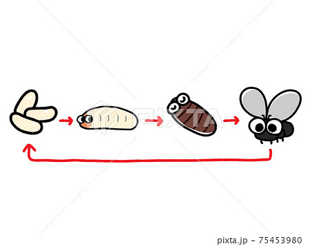 ウジ虫のイラスト素材