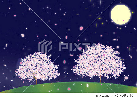 夜桜 月 桜 満月のイラスト素材