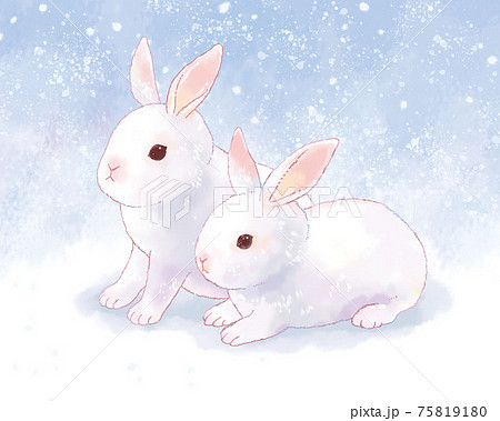 うさぎ 動物 ウサギ リアルのイラスト素材