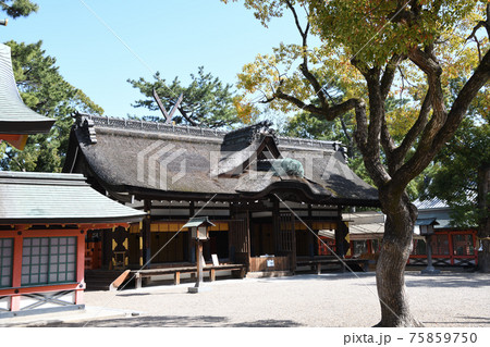 伊邪那岐大神の写真素材