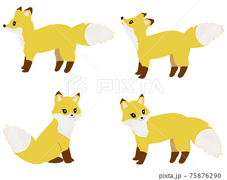 動物 かわいい キツネ キタキツネのイラスト素材