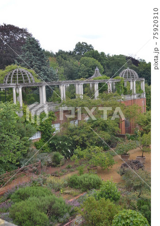 イギリス庭園の写真素材