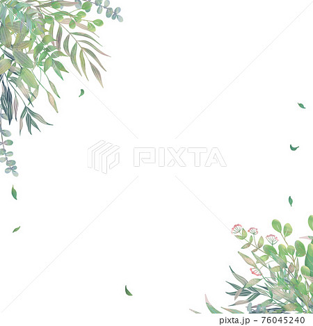 草花のイラスト素材