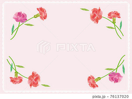 カーネーション 花柄 花 壁紙のイラスト素材
