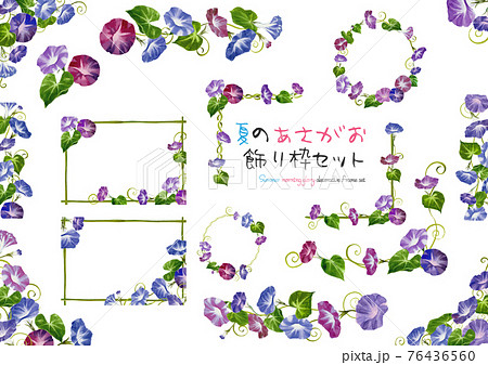 朝顔 花 手書き 夏のイラスト素材