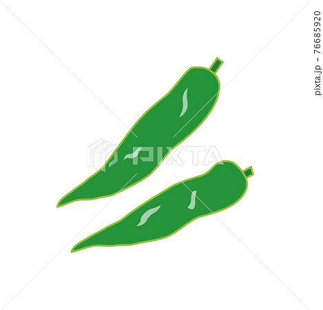 京野菜のイラスト素材