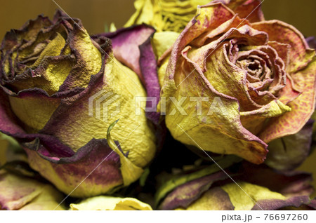 薔薇 ドライフラワー 茶色 インテリア 赤色の写真素材 薔薇 ドライフラワー 茶色 インテリア 赤色の写真素材