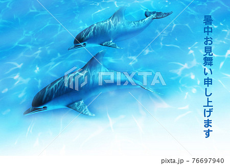 動物 イルカ 夏 海のイラスト素材