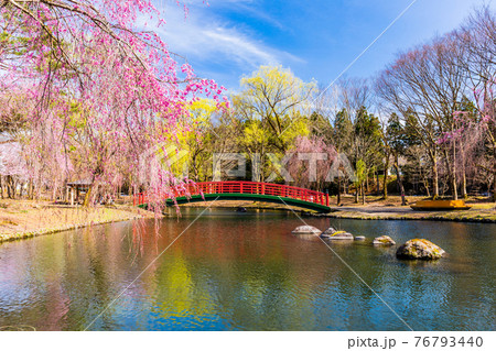 湯沢中央公園の写真素材